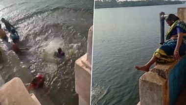 Saree-Clad Woman Makes 'Picture Perfect' Dive Into Tamraparni River in Tamil Nadu, Video Goes Viral